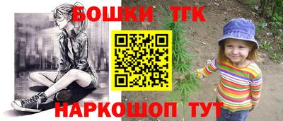 индика Аргун