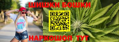 индика Аргун