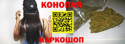 индика Аргун