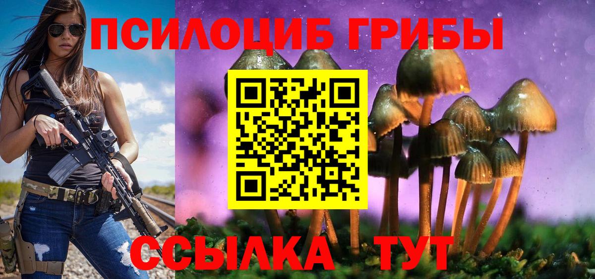 Псилоцибиновые грибы Psilocybe  Вход с VPN  Екатеринбург 