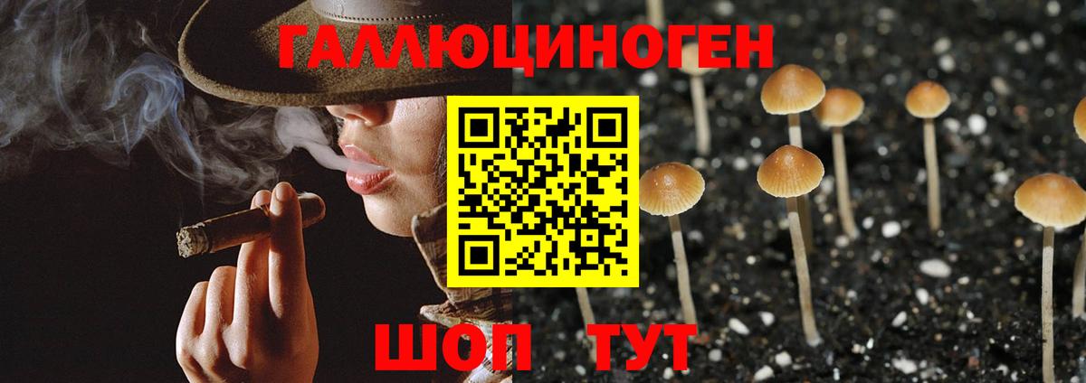 Галлюциногенные грибы MAGIC MUSHROOMS Екатеринбург